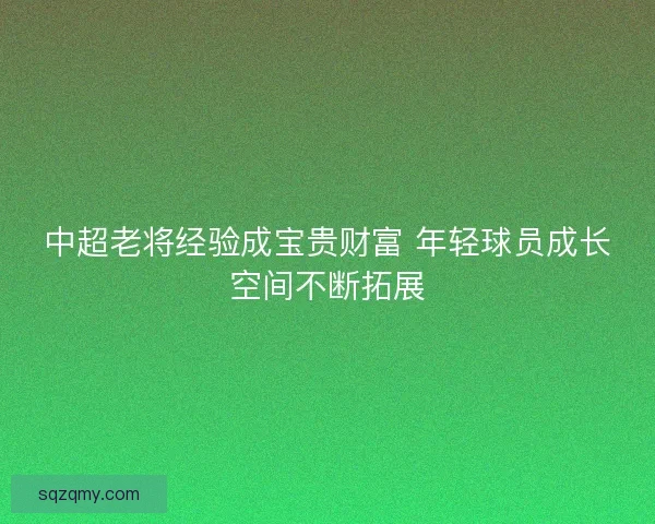中超老将经验成宝贵财富 年轻球员成长空间不断拓展