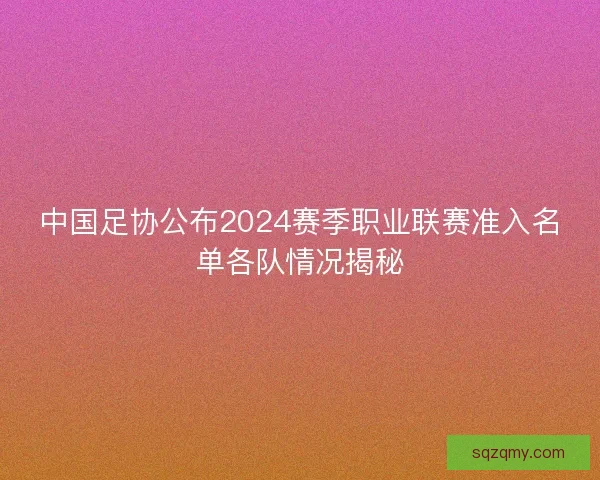 中国足协公布2024赛季职业联赛准入名单各队情况揭秘