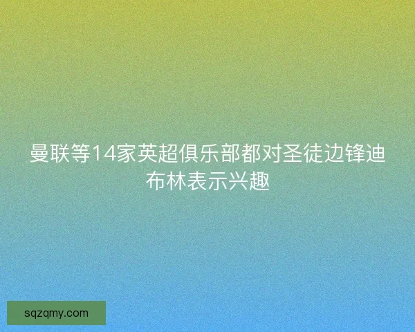 曼联等14家英超俱乐部都对圣徒边锋迪布林表示兴趣