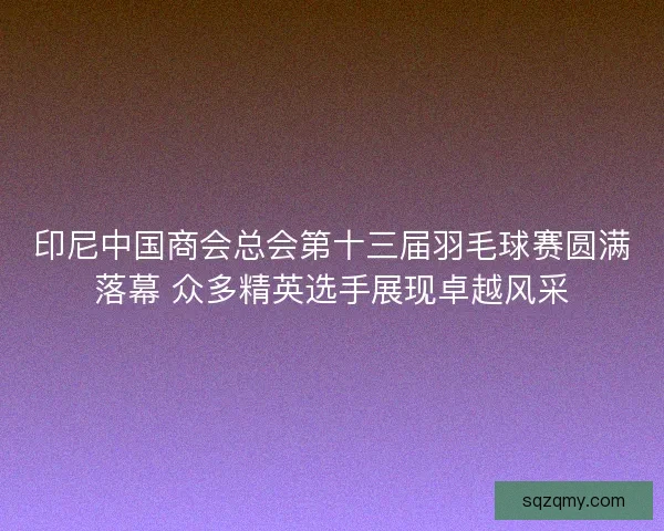 印尼中国商会总会第十三届羽毛球赛圆满落幕 众多精英选手展现卓越风采