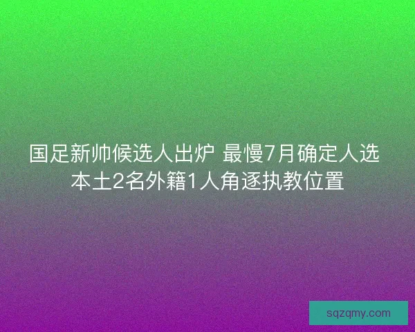 国足新帅候选人出炉 最慢7月确定人选 本土2名外籍1人角逐执教位置 国足新帅候选人出炉 最慢7月确定人选 本土2名外籍1人角逐执教位置